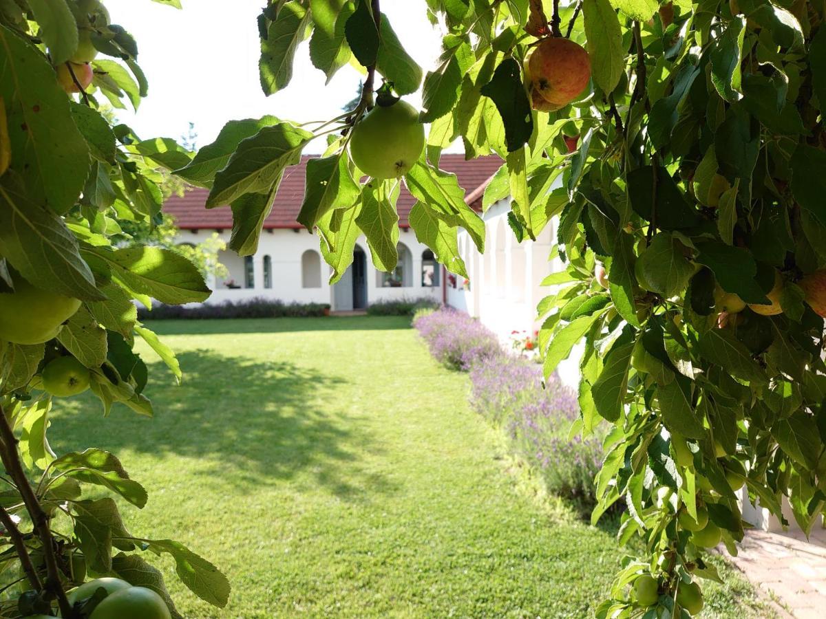 Bakta Haz Hotel Egerbakta Екстериор снимка